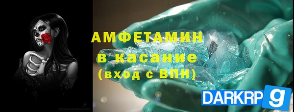 прущие грибы Ачинск