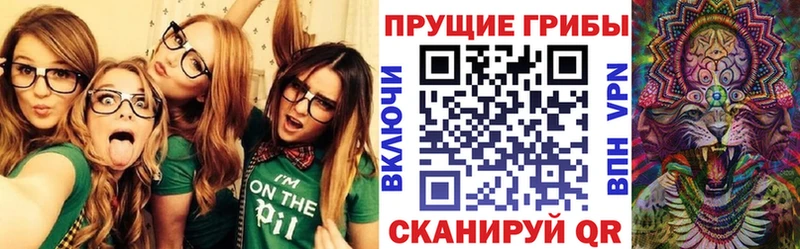 omg онион Александровское Галлюциногенные грибы мицелий