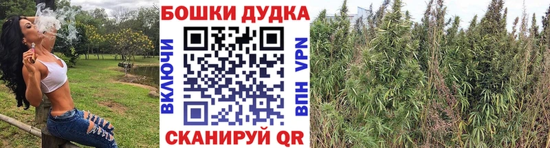 закладка  Александровское  МАРИХУАНА MAZAR 